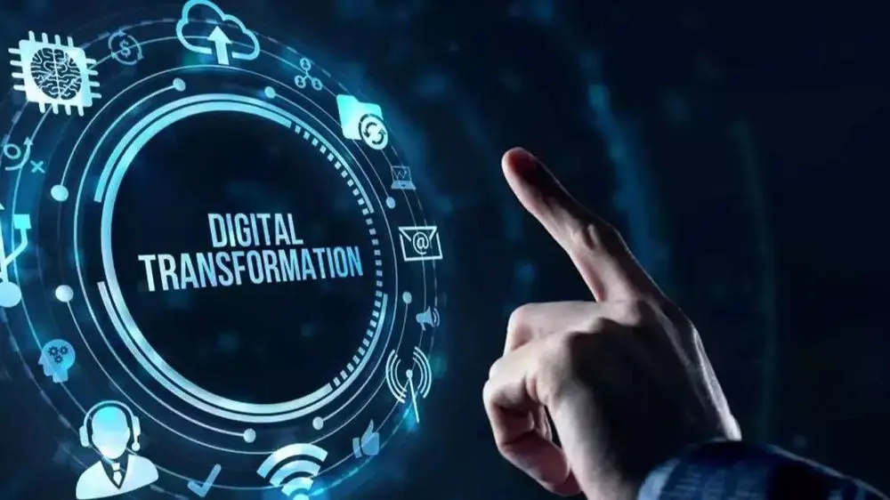 More licenses issued for key digital services